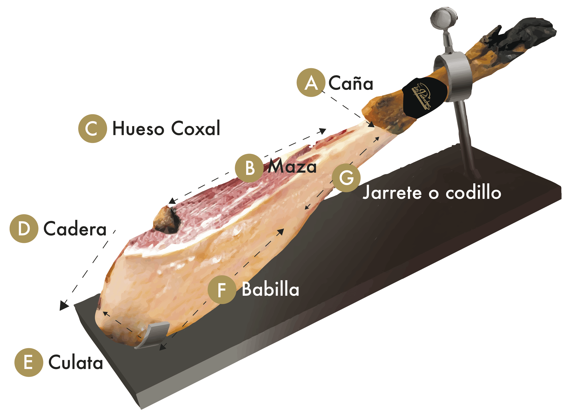 ¿Por dónde empezar el jamón? - Soportepara.es